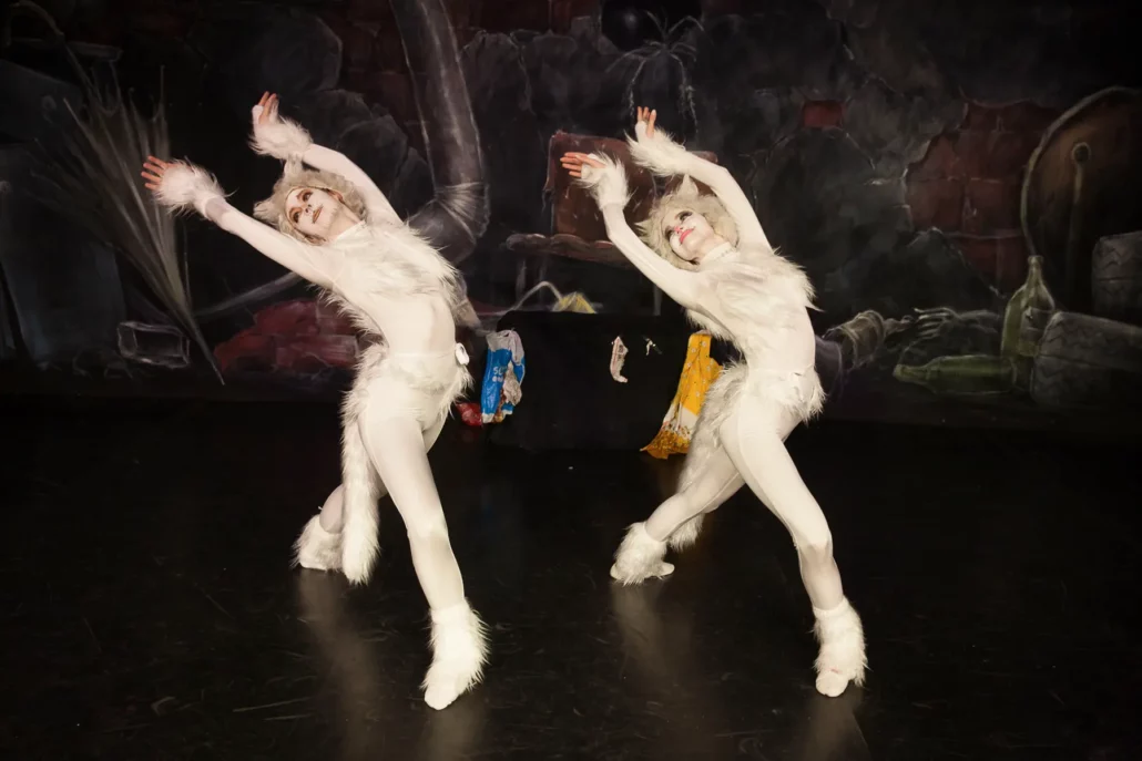 cats tanzstudio ober grafendorf c peter hofmann00016