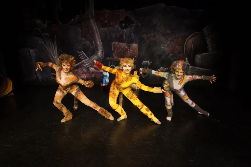 cats tanzstudio ober grafendorf c peter hofmann00021