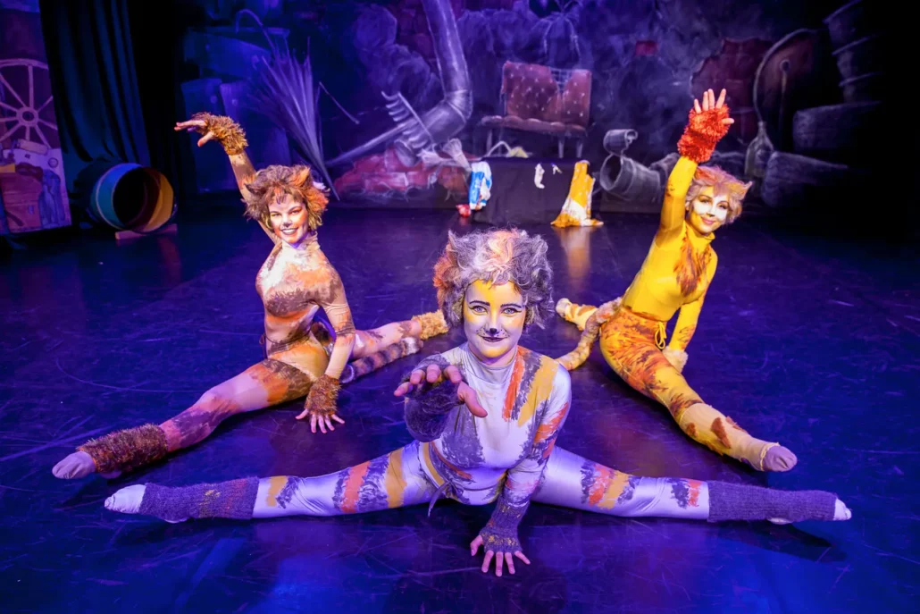 cats tanzstudio ober grafendorf c peter hofmann00023