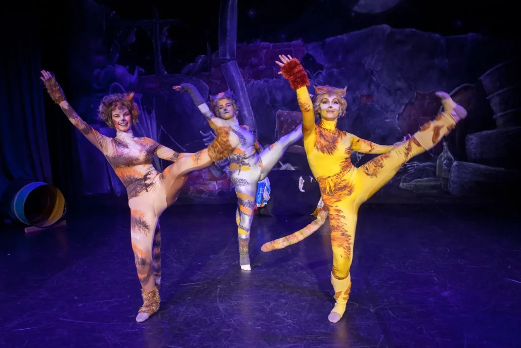 cats tanzstudio ober grafendorf c peter hofmann00024