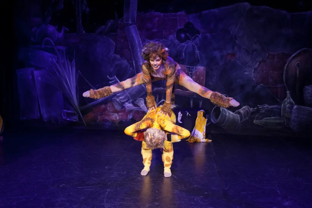 cats tanzstudio ober grafendorf c peter hofmann00025